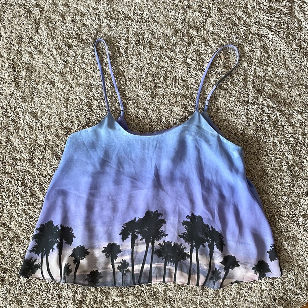 Olivaceous Palm Tree Top